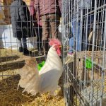 Los Premios Cruz de Sobrarbe feria trufa ferieta ainsa Los Premios Cruz de Sobrarbe feria trufa ferieta ainsa