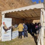 --- No CPirineo Pirineos Pirineo.com InfoPirineohange --- Pirineo Pirineos Pirineo.com InfoPirineo