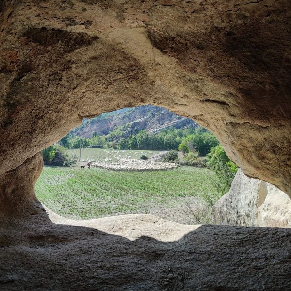 Pirineos Pirineo Tercer aniversario de la Carrasca de Lecina como Árbol Europeo 3 Pirineos Pirineo
