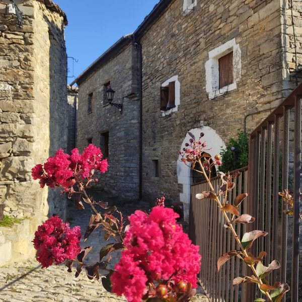 Pirineos Pirineo Tercer aniversario de la Carrasca de Lecina como Árbol Europeo 4 Pirineos Pirineo