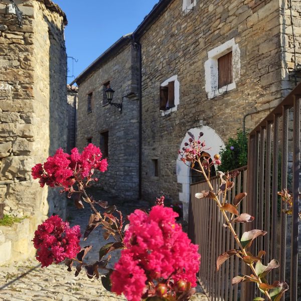 Pirineos Pirineo Tercer aniversario de la Carrasca de Lecina como Árbol Europeo 4 Pirineos Pirineo