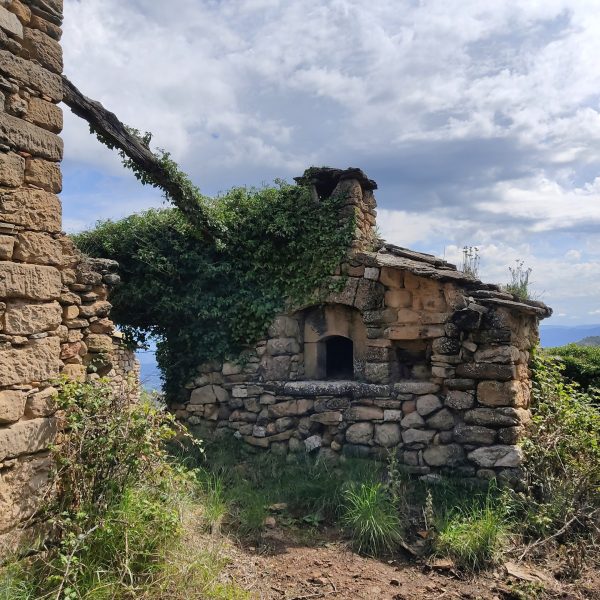 Pirineos Pirineo Tercer aniversario de la Carrasca de Lecina como Árbol Europeo 5 Pirineos Pirineo