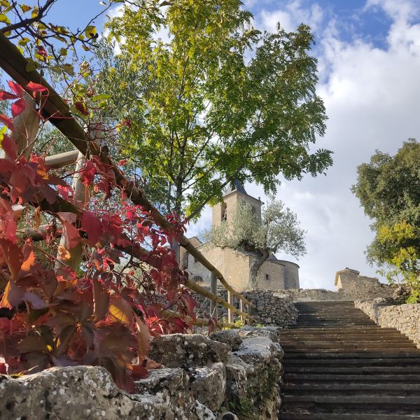 Pirineos Pirineo Tercer aniversario de la Carrasca de Lecina como Árbol Europeo 1 Pirineos Pirineo