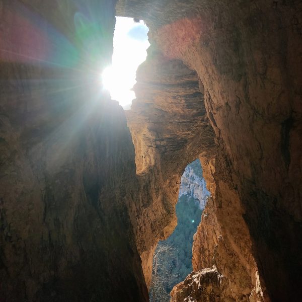 Pirineos Pirineo Tercer aniversario de la Carrasca de Lecina como Árbol Europeo 7 Pirineos Pirineo